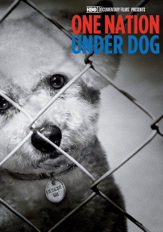 Una Nación Canina: Relatos De Miedo, Pérdida Y Traición