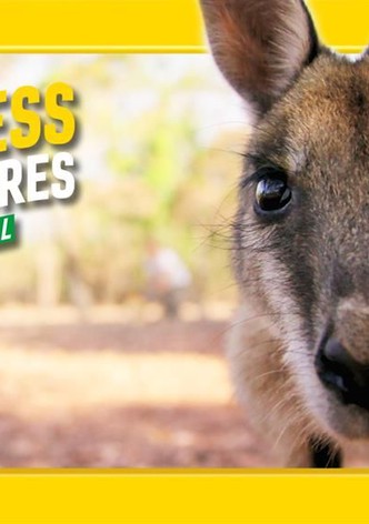 Fearless Adventures with Jack Randall