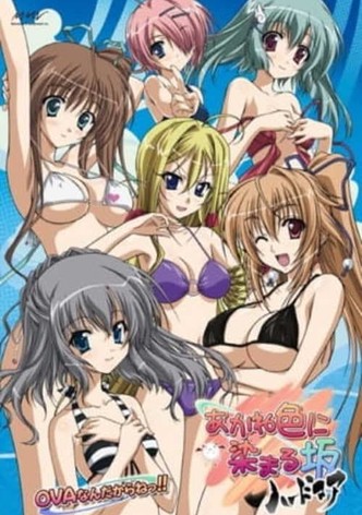 Akaneiro ni Somaru Saka: It’s the Akane-iro ni Somaru Saka Hardcore OVA, Big Brother!!