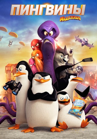 Пингвины Мадагаскара