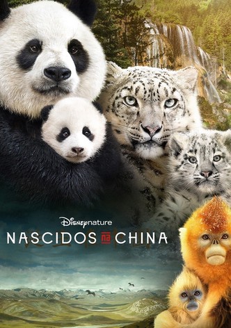 Nascidos na China