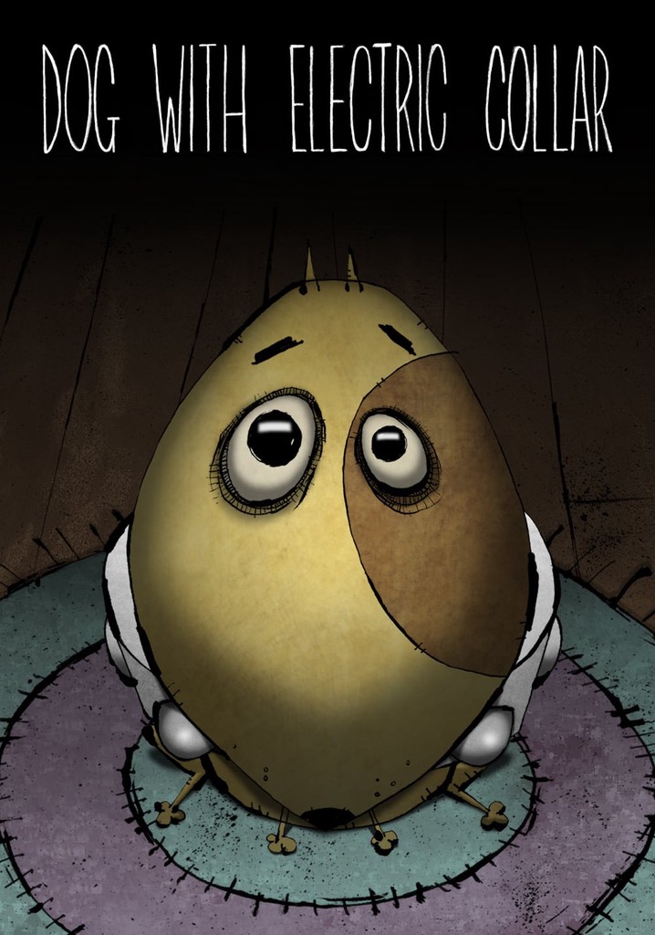 Dog With Electric Collar