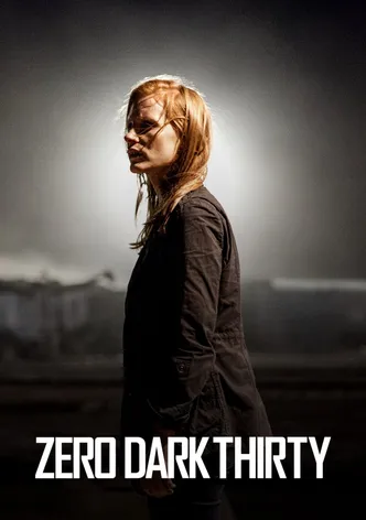Zero Dark Thirty poster