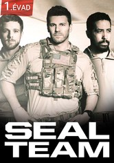 SEAL Team