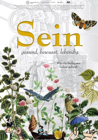 Sein
