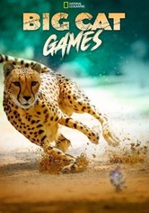 Wettstreit der Raubkatzen