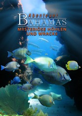 Adventure Bahamas 3D - Mysterious Caves and Wrecks