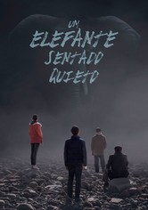 Um elefante sentado quieto