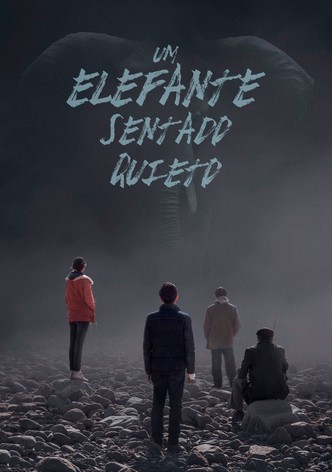 Um elefante sentado quieto