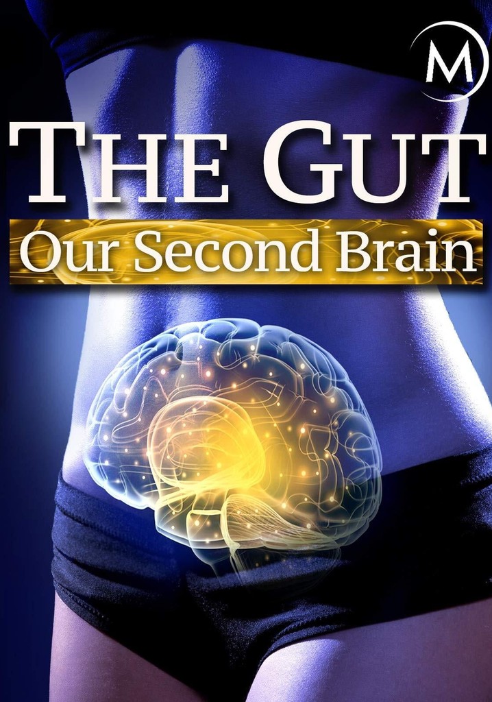 The Gut: Our Second Brain