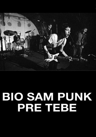 I Was a Punk Before You