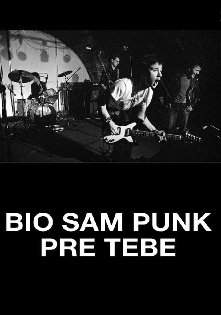 I Was a Punk Before You