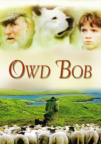 Owd Bob