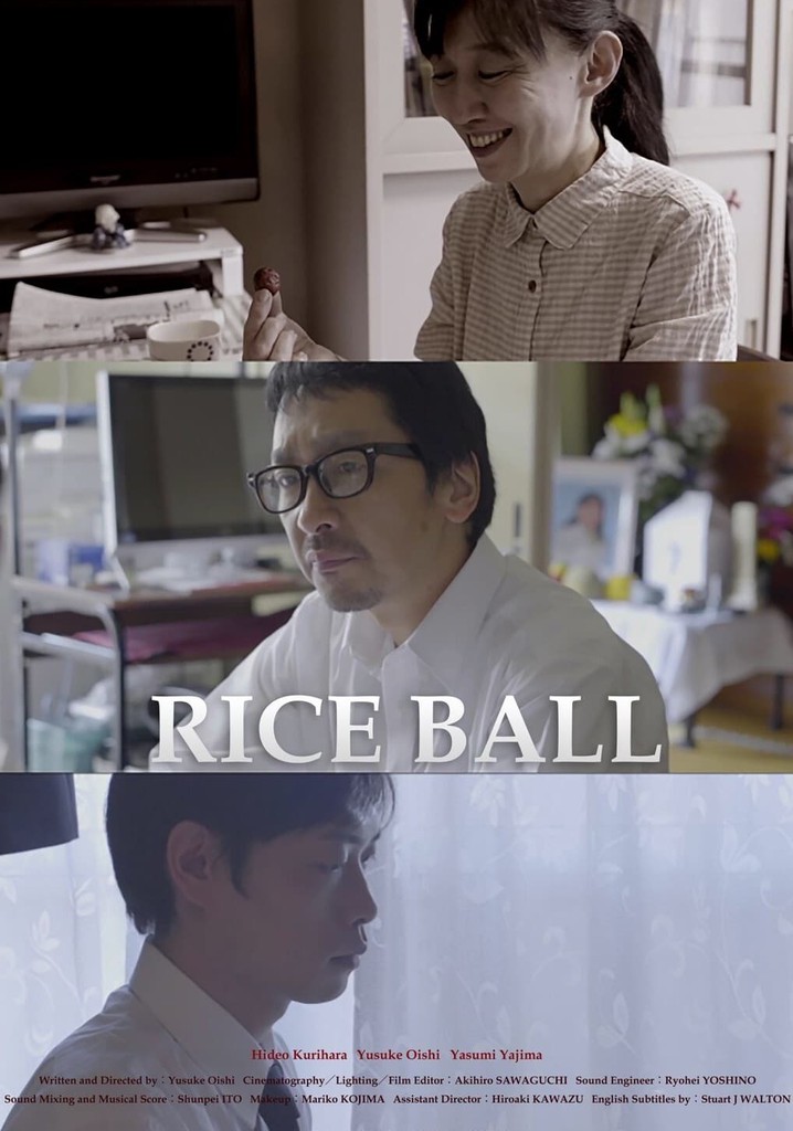 Rice Ball