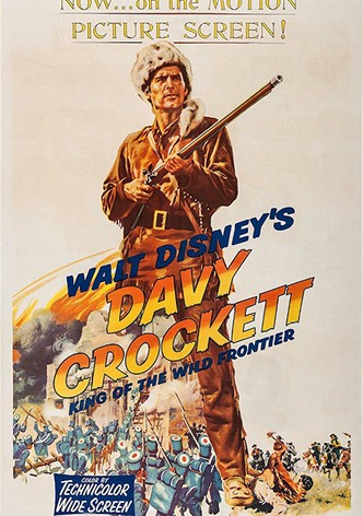 Ντέιβιντ Κρόκετ, ο προστάτης των φτωχών