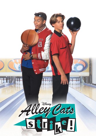 Alley Cats Strike