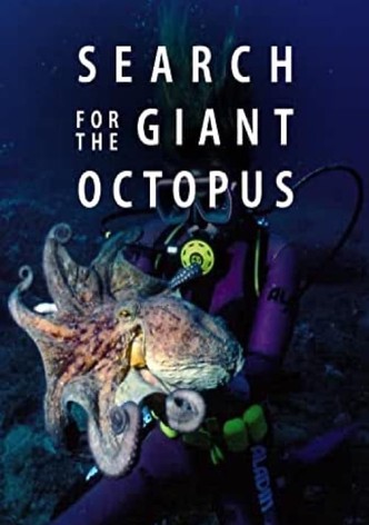 Search for the Giant Octopus