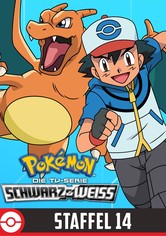 Pokémon - Staffel 14: Schwarz & Weiß