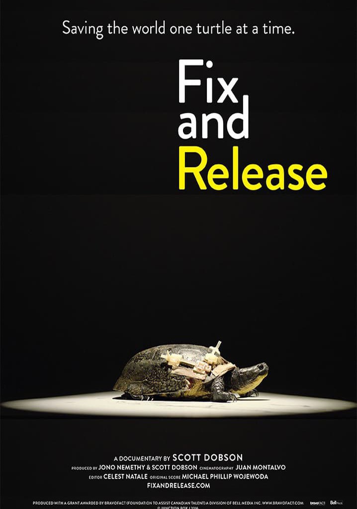 Fix and Release