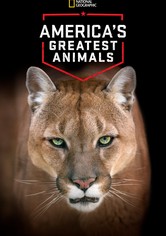 America's Greatest Animals