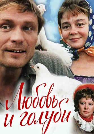 Любовь и голуби