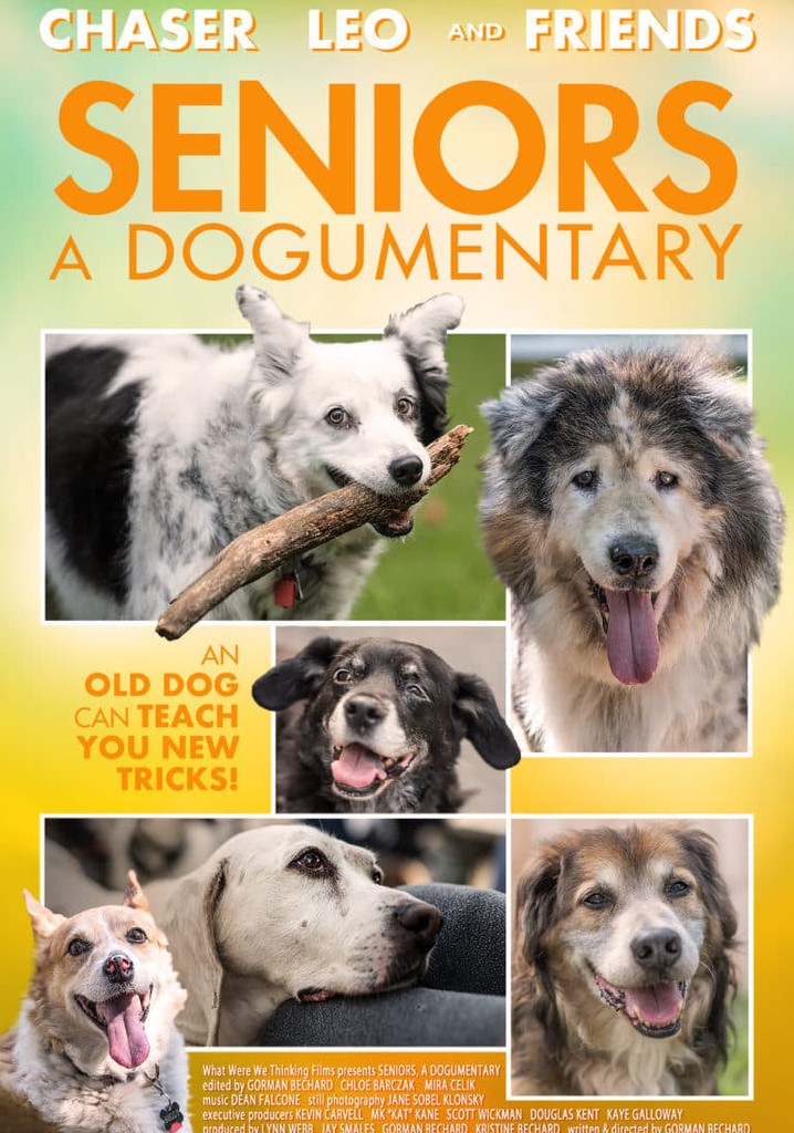 Seniors: A Dogumentary