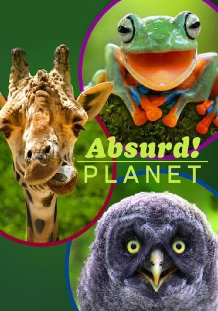 Absurd streaming tv show online