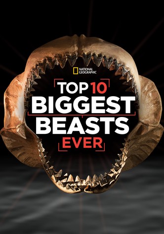 Top 10 Biggest Beasts Ever
