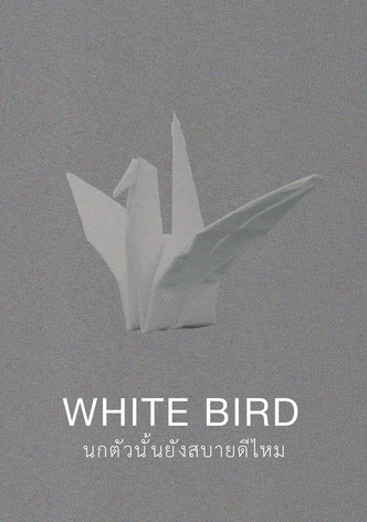 White Bird