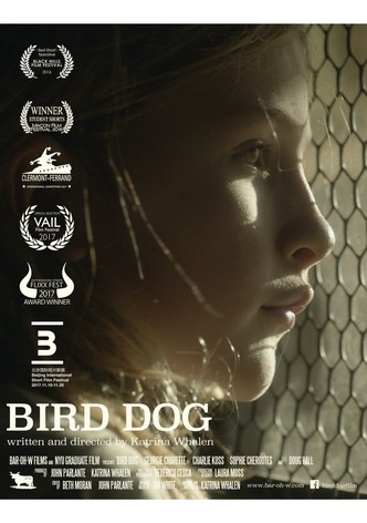 Bird Dog