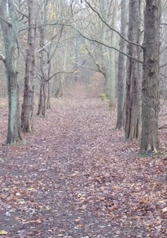 Weg