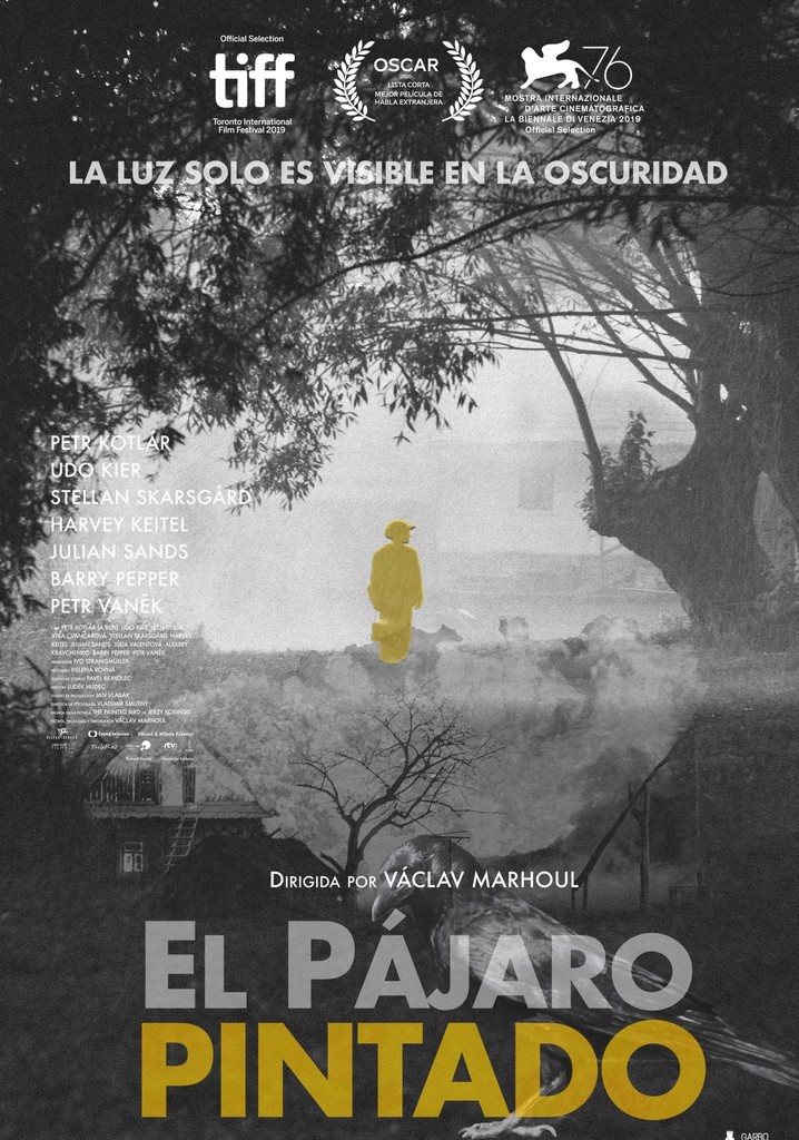 El Pájaro Pintado 2019 Película Completa En Español Latino