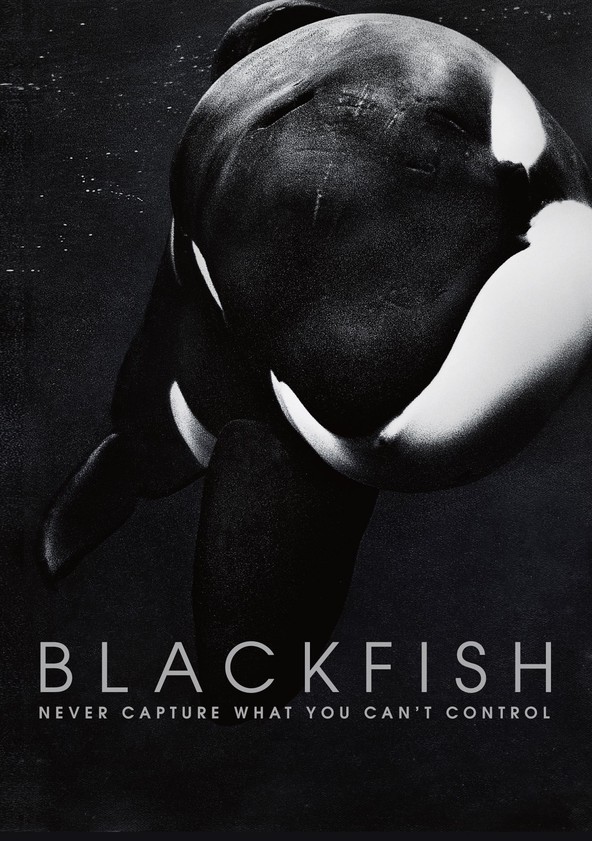 blackfish poster