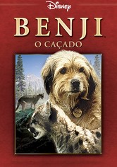 Os Quatro Cachorrinhos