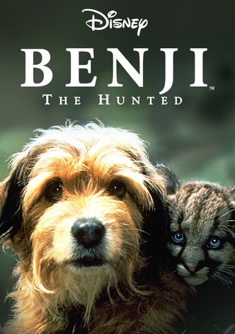 Benji the Hunted