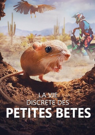 La vie discrète des petites bêtes