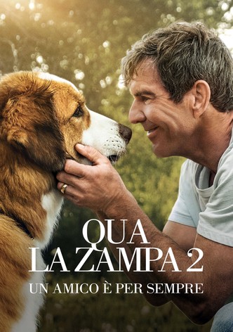 Qua la zampa 2 - Un amico è per sempre