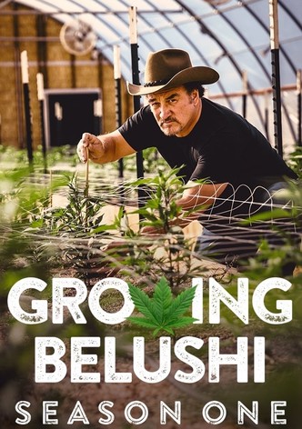 Growing Belushi Official Show Page