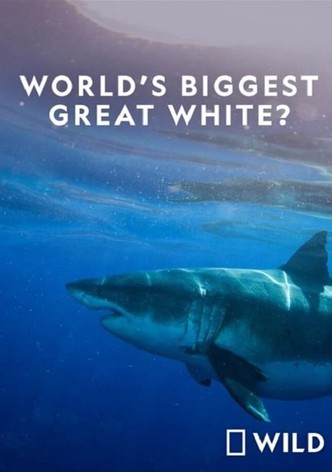 National Geographic: Worlds Biggest Great White Shark