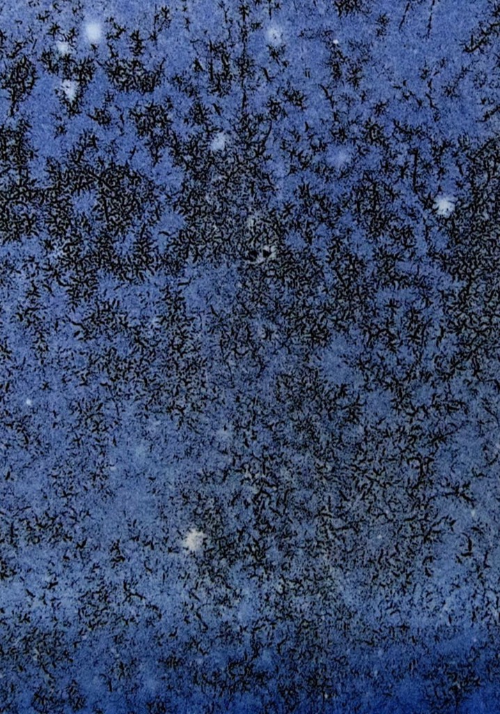 Luminous Variations in the City Skies