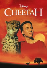 Cheetah