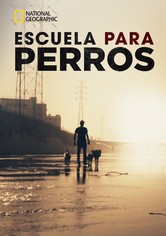 Escuela para perros