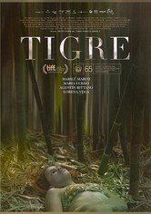 Tigre