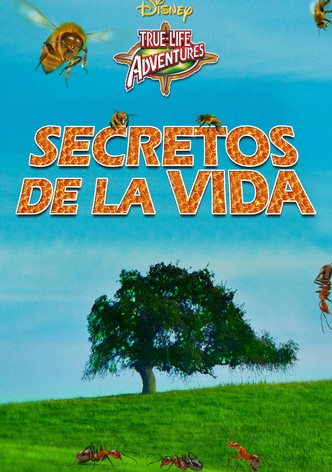 Secretos de la vida