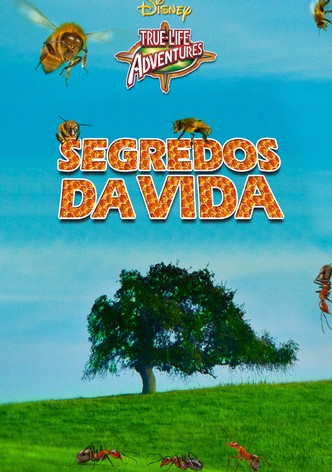 Segredos da Vida