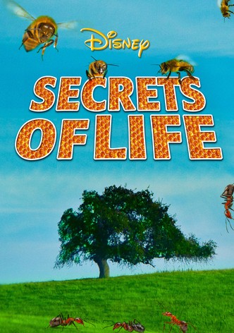 Secrets of Life