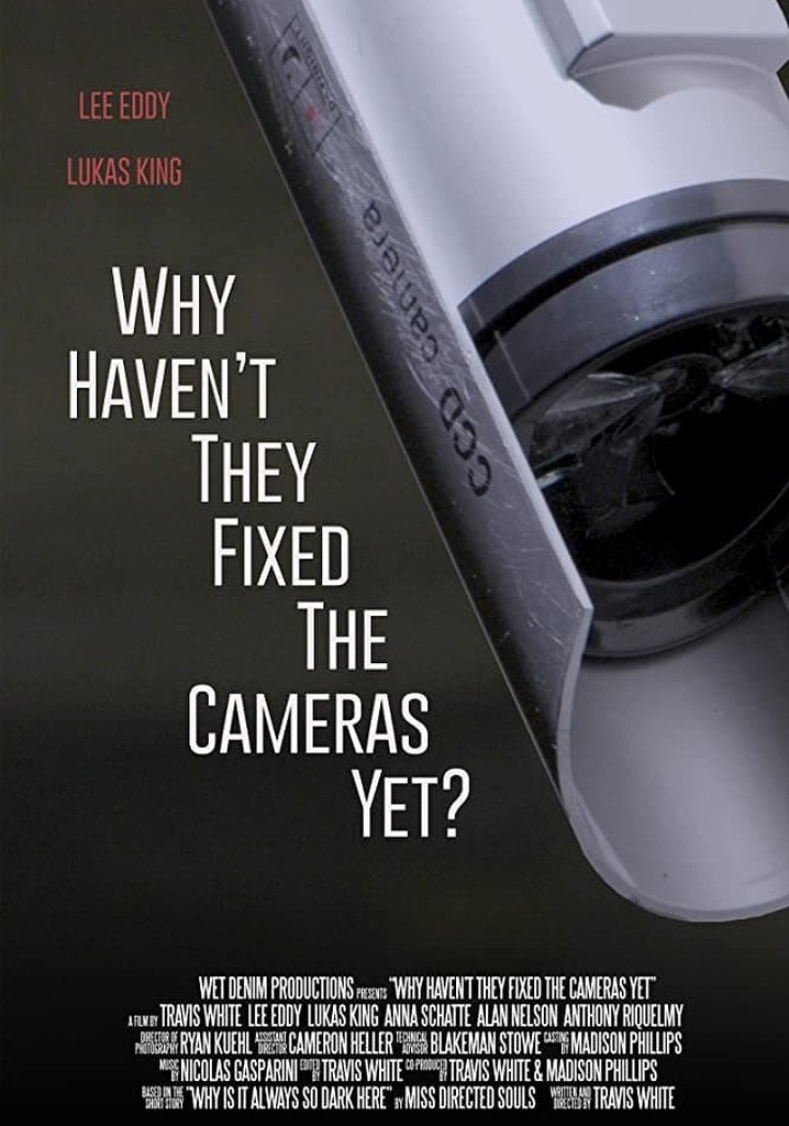 Why Haven't They Fixed the Cameras Yet?