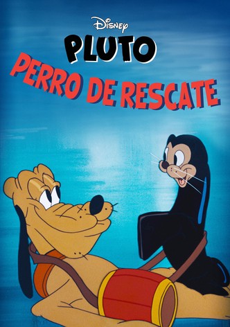 Perro al rescate