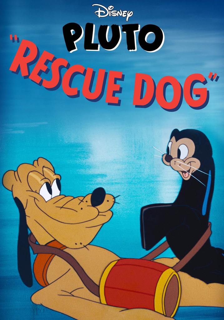 rescue-dog