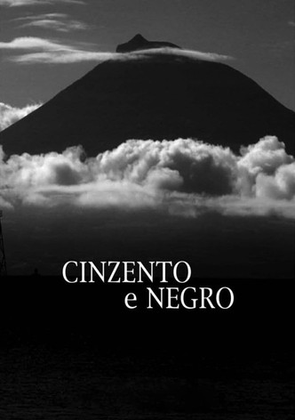 Cinzento e Negro